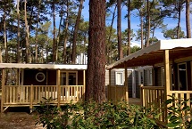 Chalets Tribu